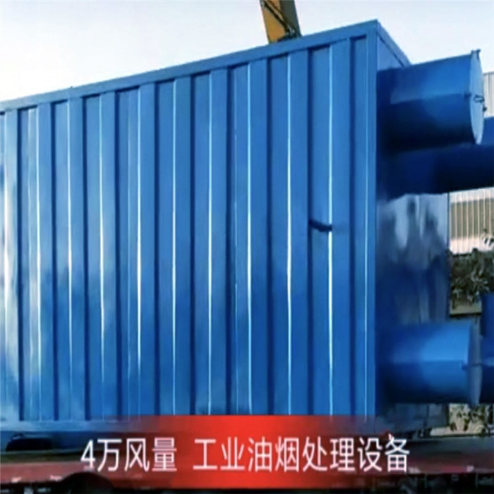 4萬風量工業(yè)油煙處理設(shè)備，德佳環(huán)保